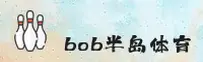 BOB半岛(BOBBD)官方网站 - 正版平台入口